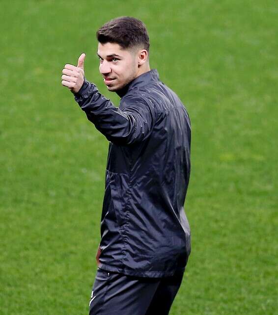 צילום: אלן שיבר